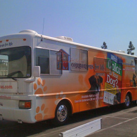 Custom vehicle and bus wrap