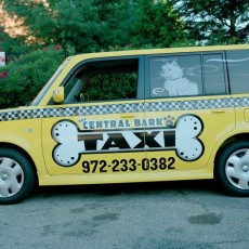 custom-car-wraps-on-a-Scion-XB-for-Central-Bark-Taxi